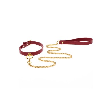 O-Ring Collar and Chain Leash